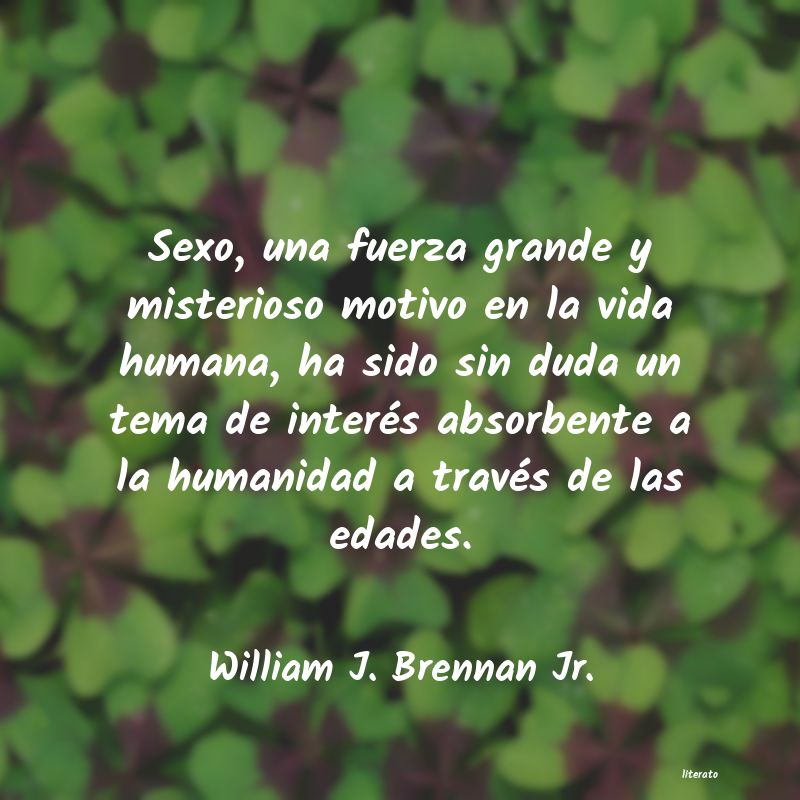 Frases de William J. Brennan Jr.