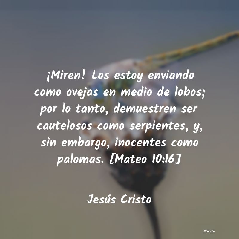 Frases de Jesús Cristo