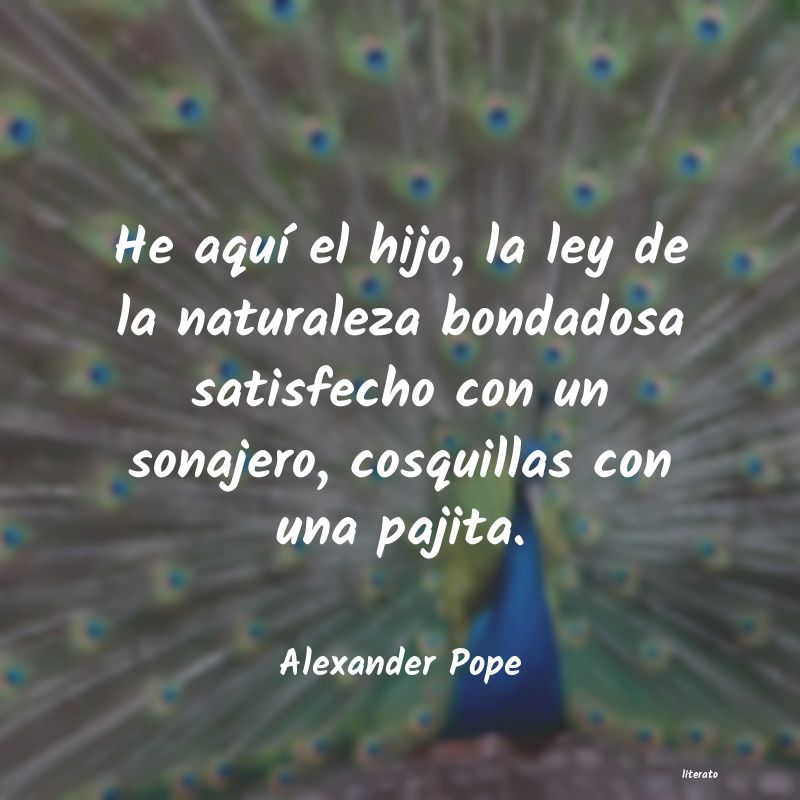 frases de Alexander Pope