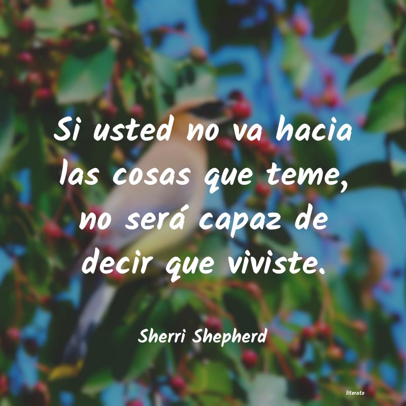 frases de Sherri Shepherd