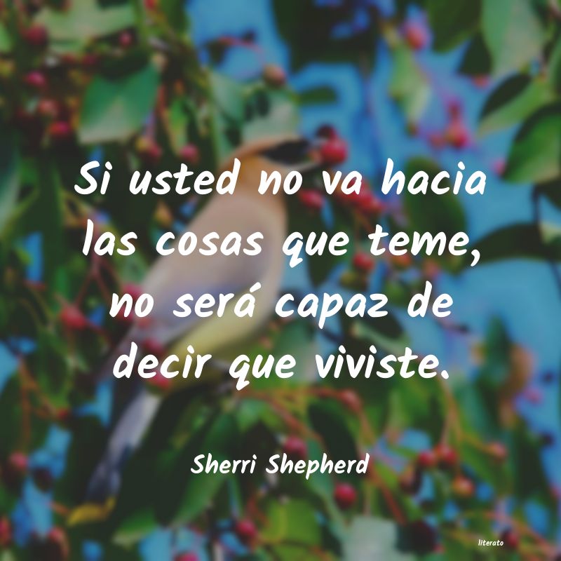 Frases de Sherri Shepherd