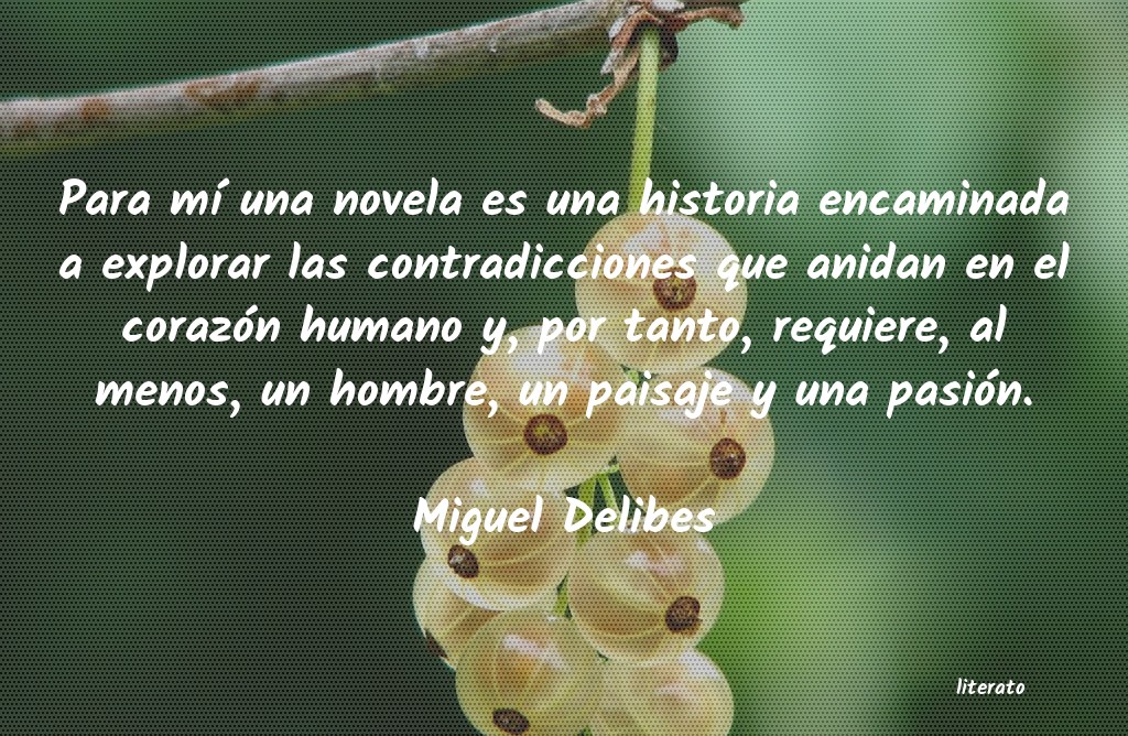 frases de Miguel Delibes