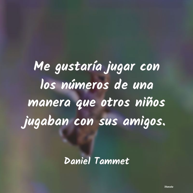 Frases de Daniel Tammet