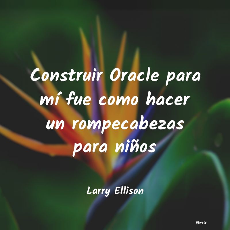 Frases de Larry Ellison