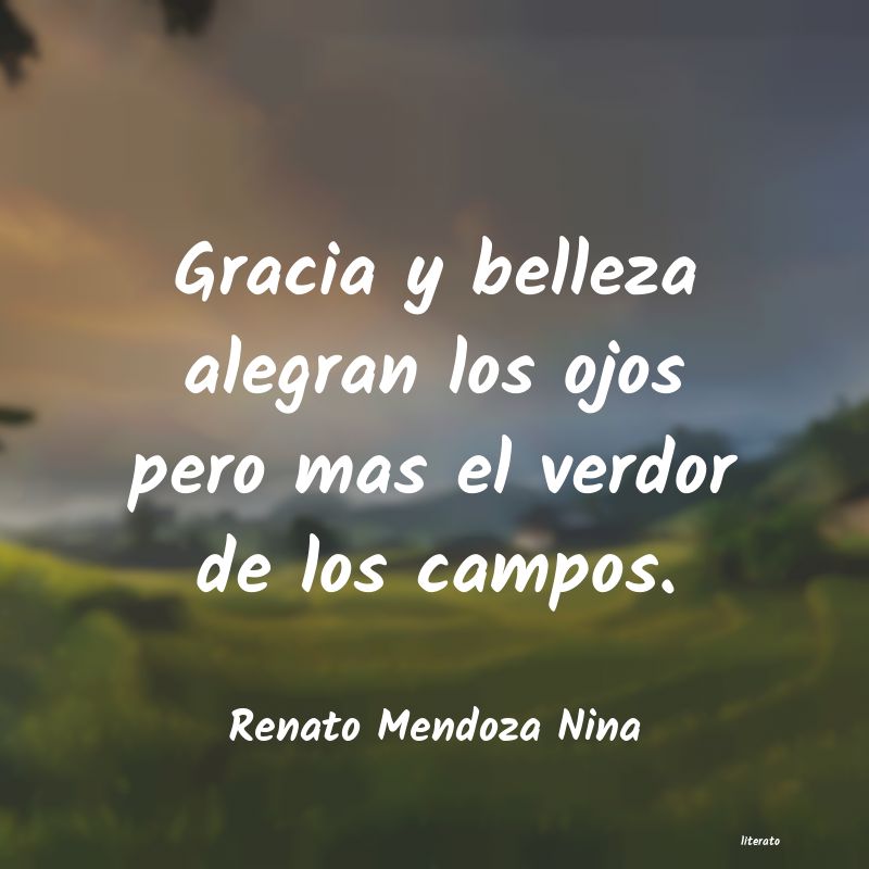 frases de Renato Mendoza Nina