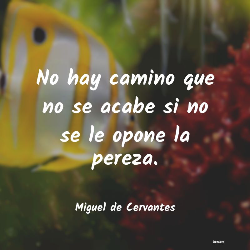 Frases de Miguel de Cervantes