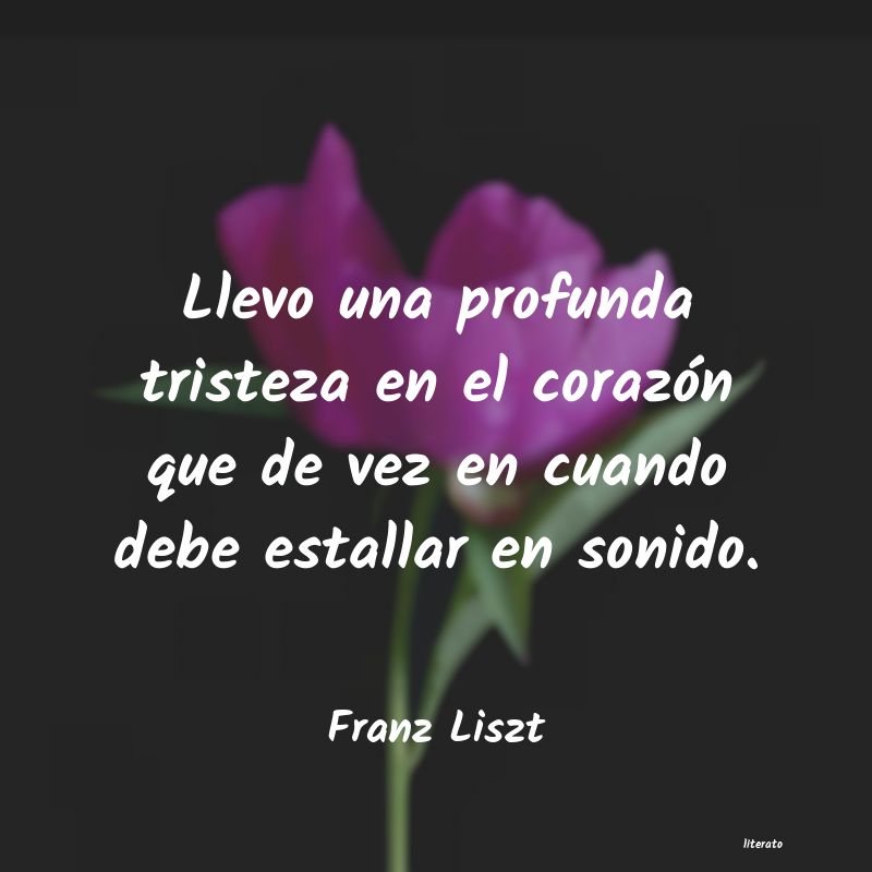 Frases de Franz Liszt