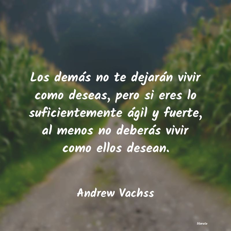 Frases de Andrew Vachss