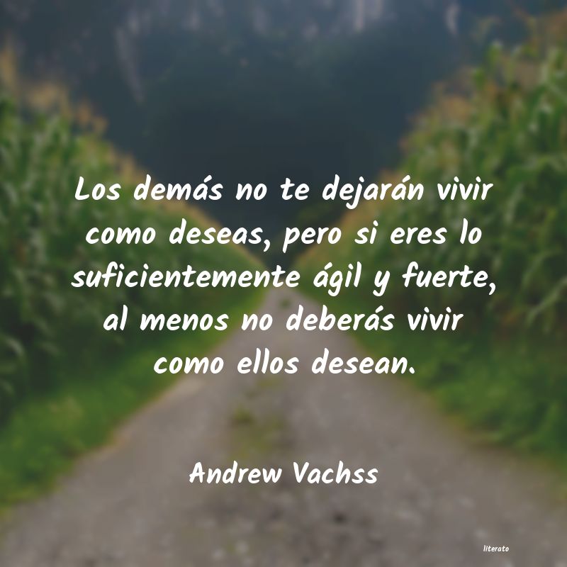 frases de Andrew Vachss