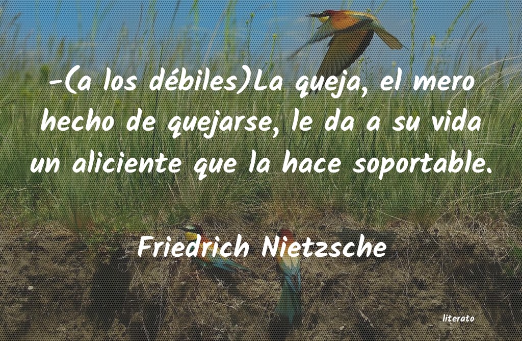 Frases de Friedrich Nietzsche