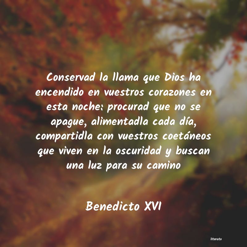 Frases de Benedicto XVI