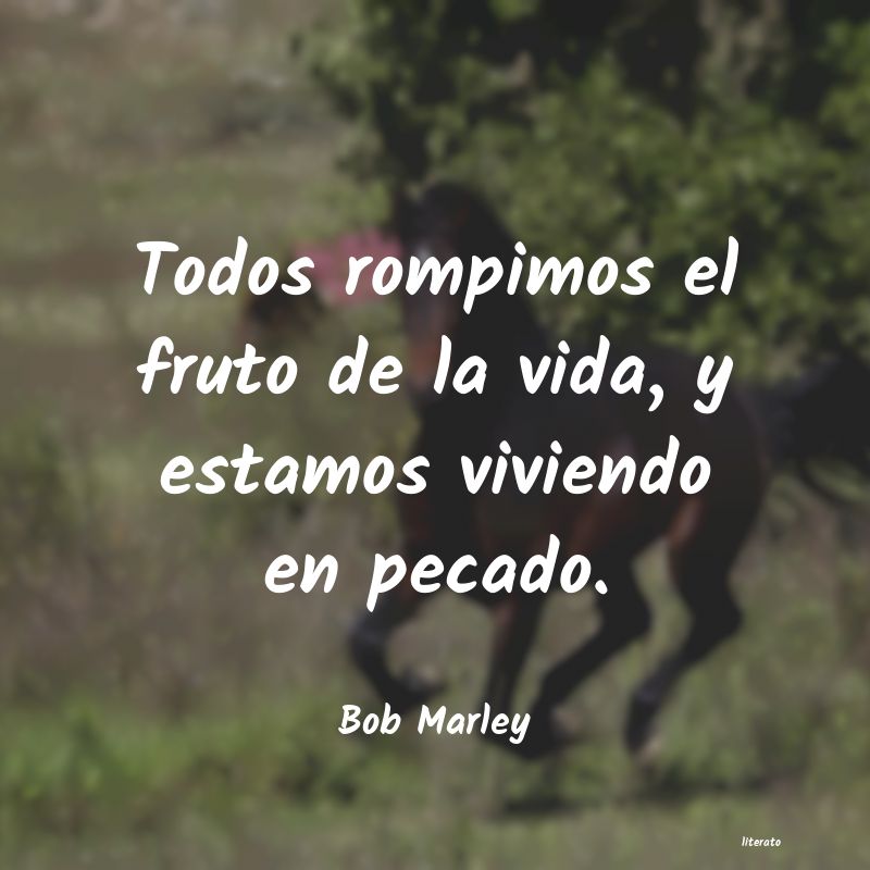 Frases de Bob Marley