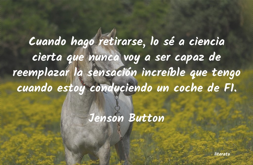 Frases de Jenson Button