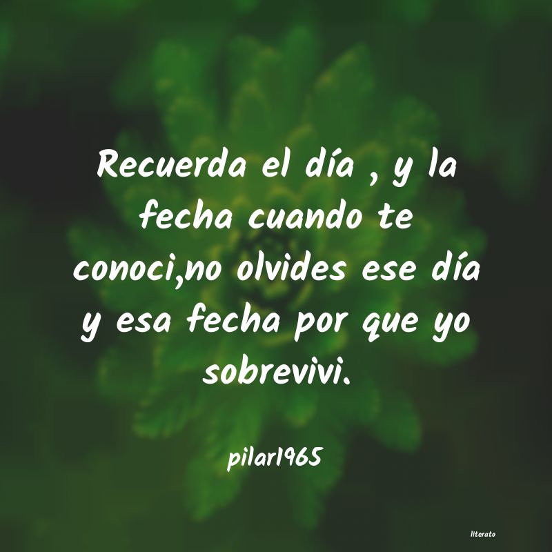 frases de pilar1965