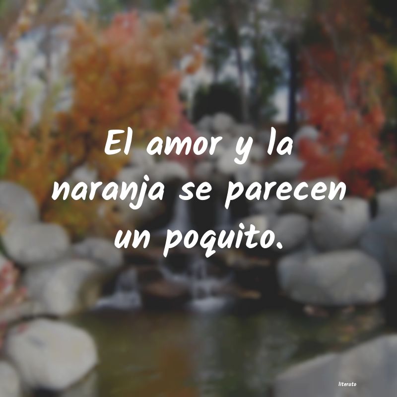 frases
