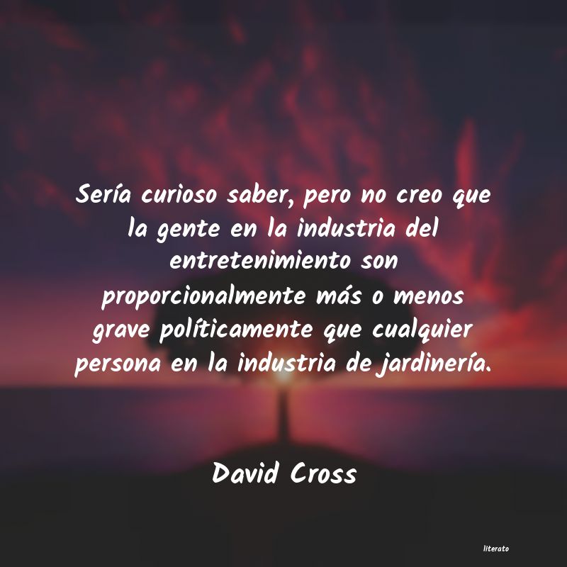 frases curiosas