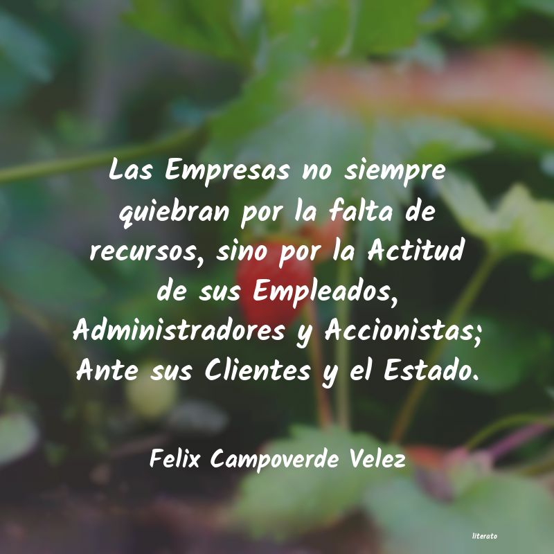 frases de Felix Campoverde Velez