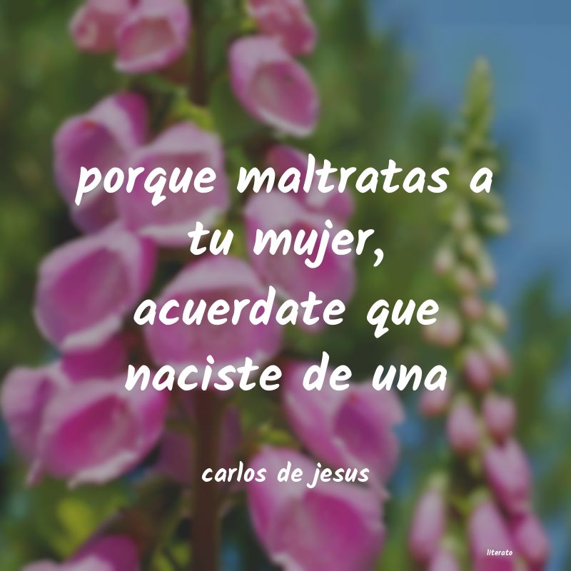 frases de carlos de jesus