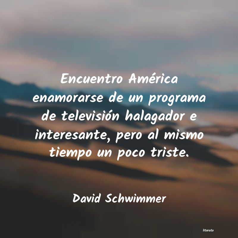 Frases de David Schwimmer