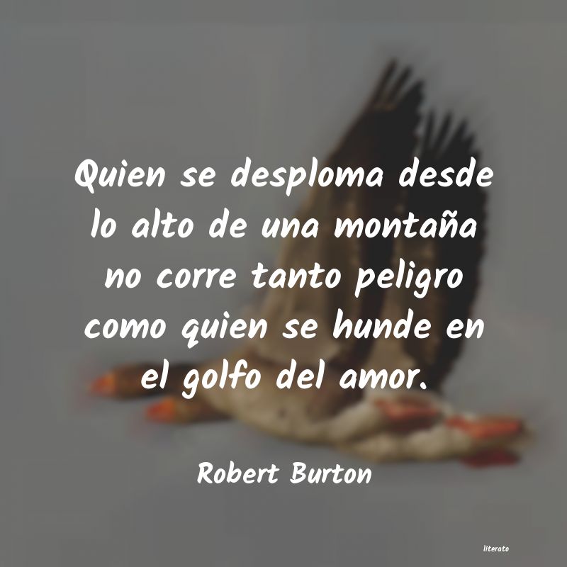 frases de Robert Burton