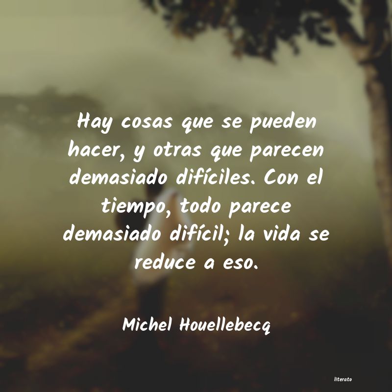 Frases de Michel Houellebecq