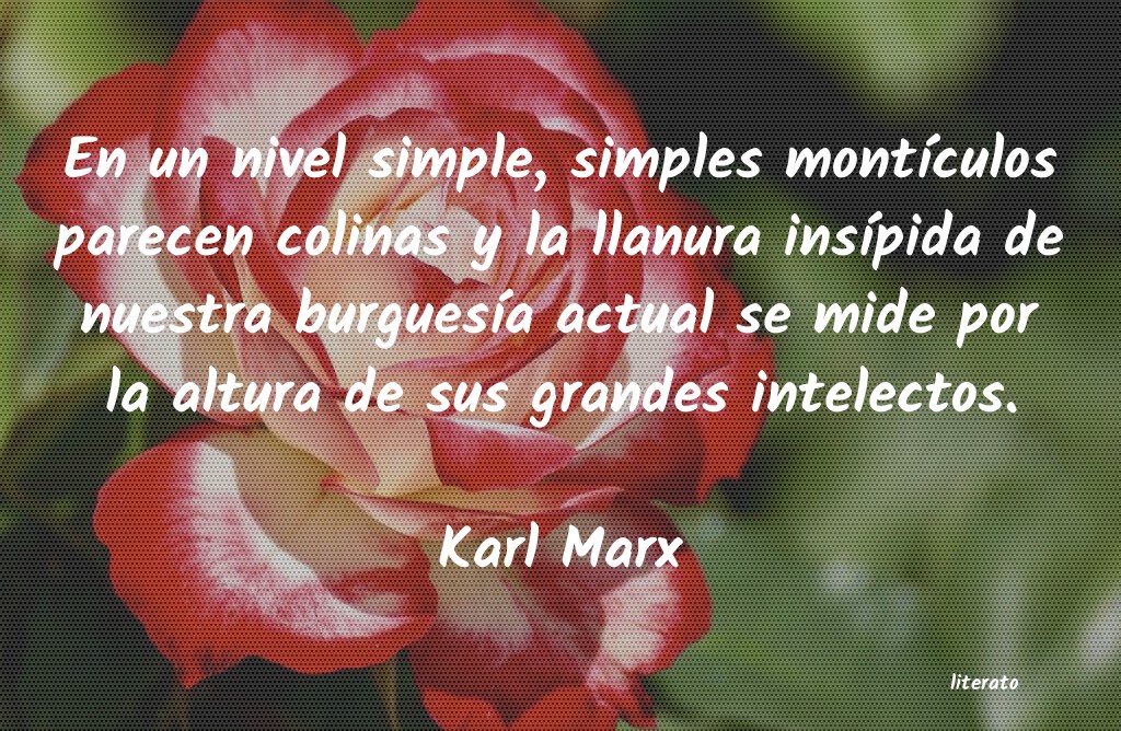 frases de Karl Marx