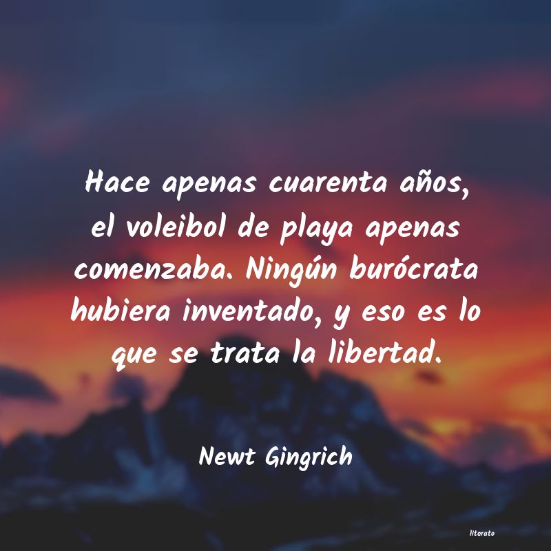 frases de Newt Gingrich
