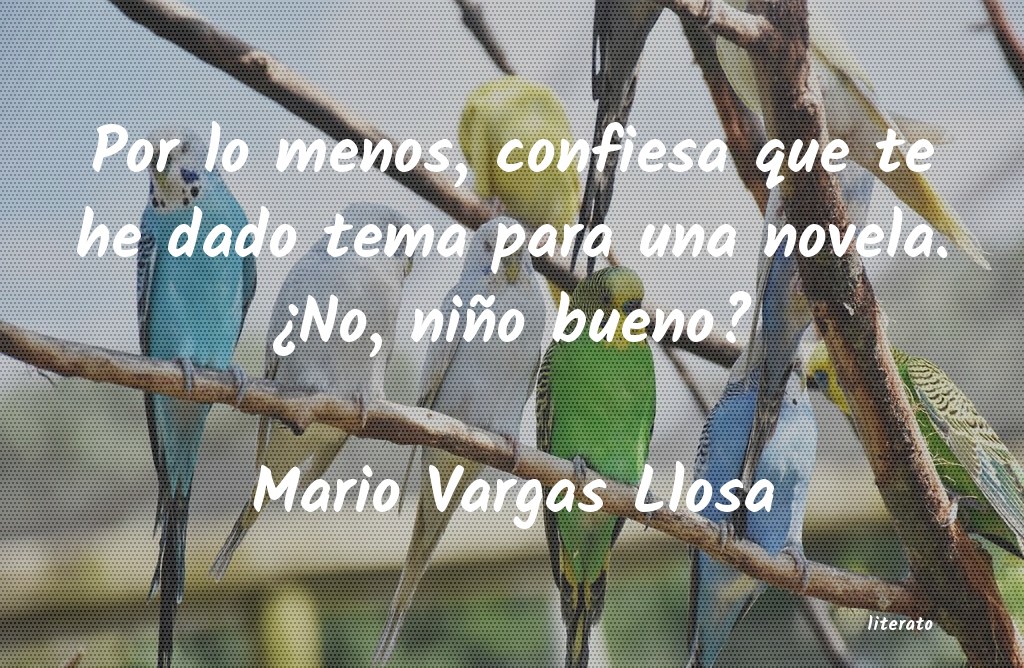 frases de Mario Vargas Llosa