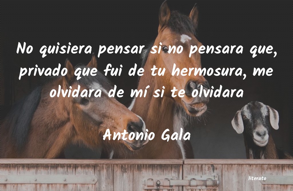 Frases de Antonio Gala