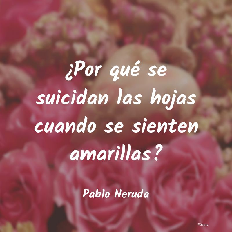 Frases de Pablo Neruda