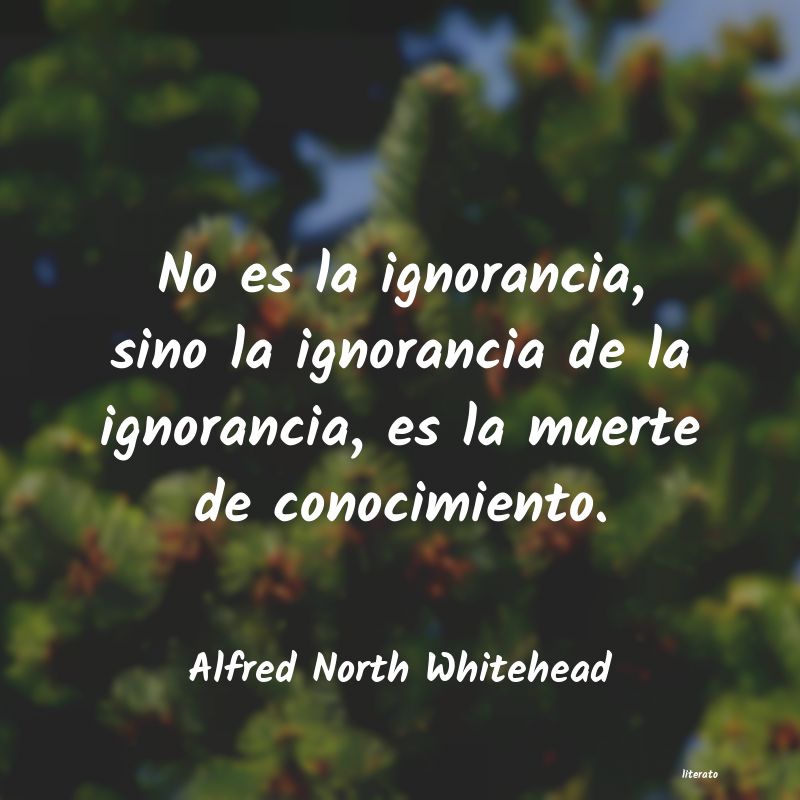 Frases de Alfred North Whitehead