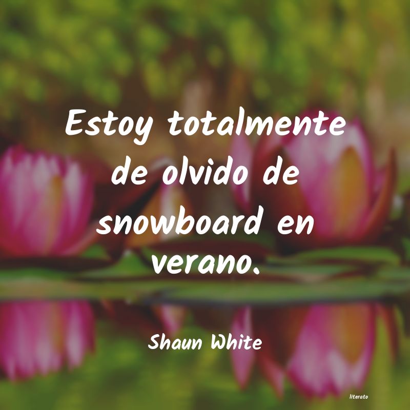 Frases de Shaun White