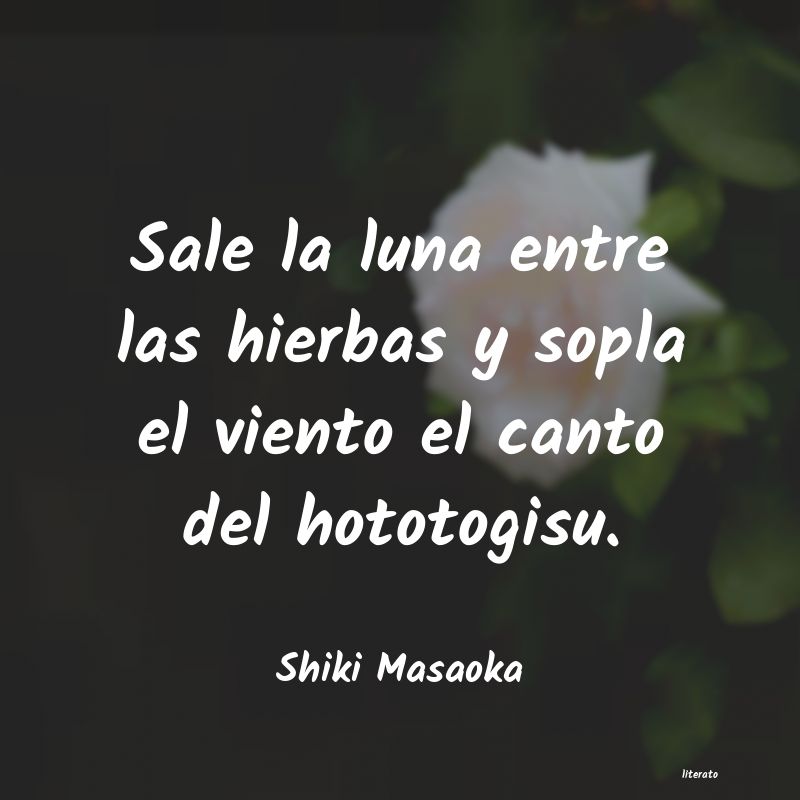 frases de Shiki Masaoka