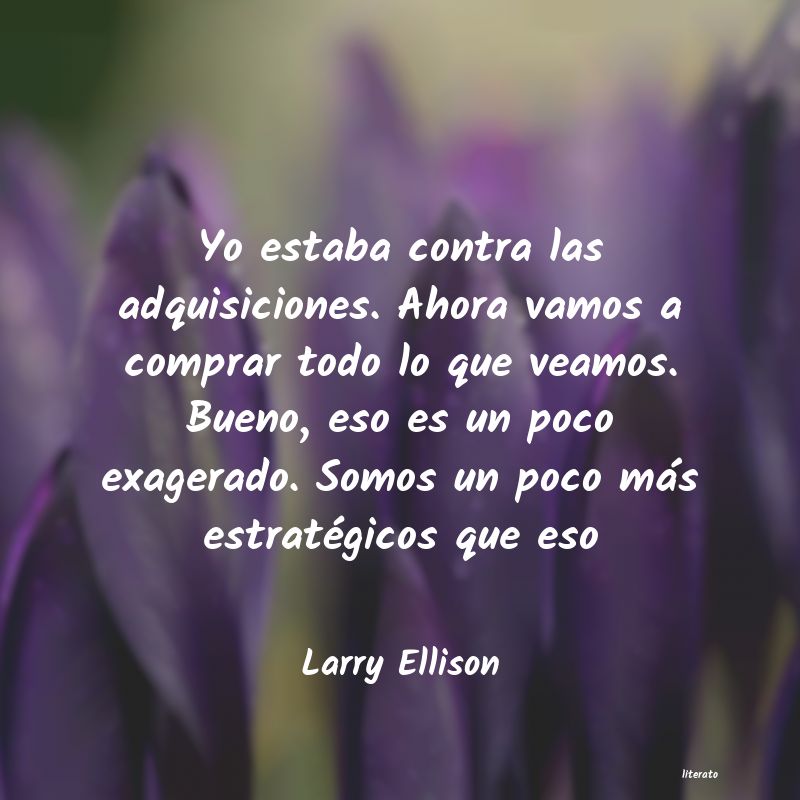 Frases de Larry Ellison