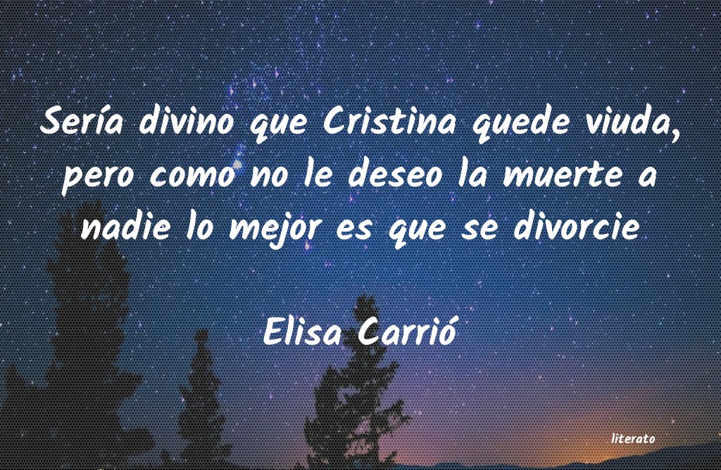 frases de Elisa Carrió