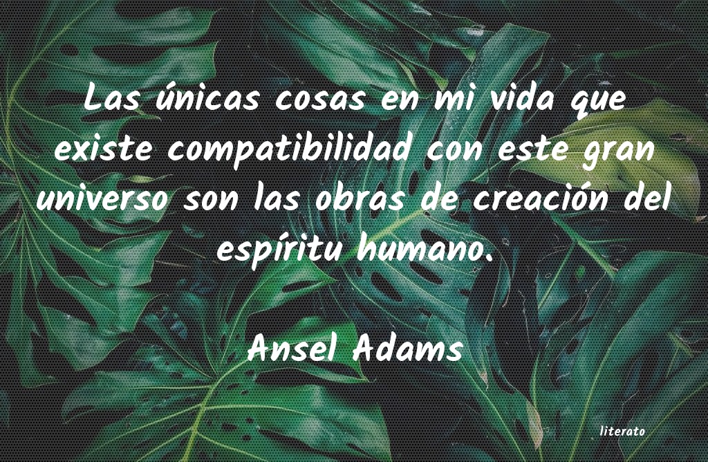 frases de Ansel Adams