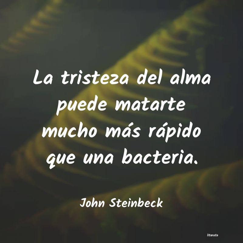 frases de John Steinbeck