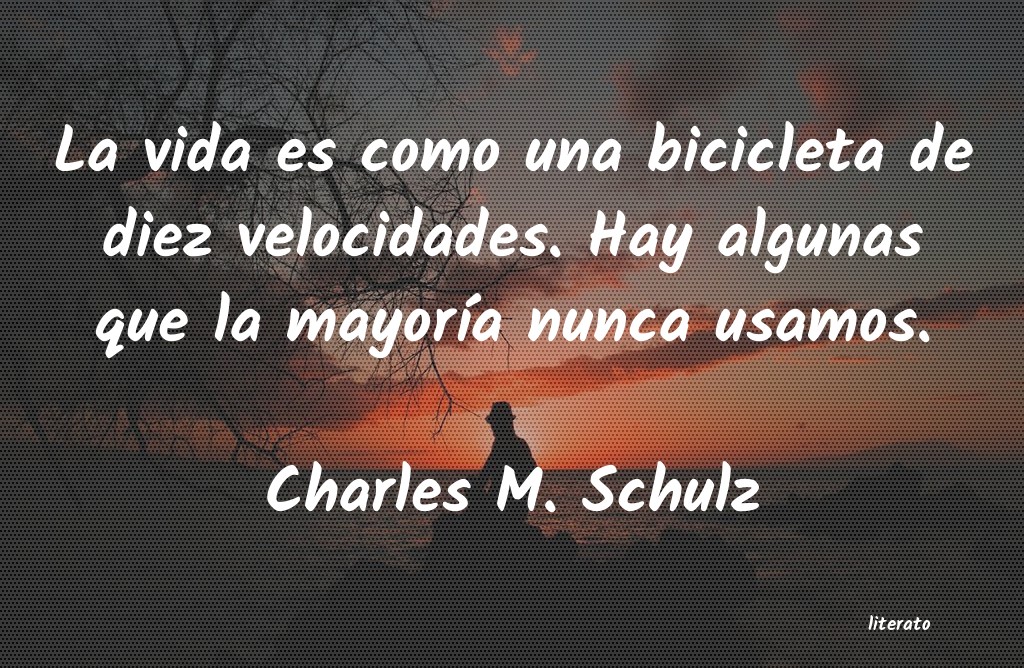 Frases de Charles M. Schulz