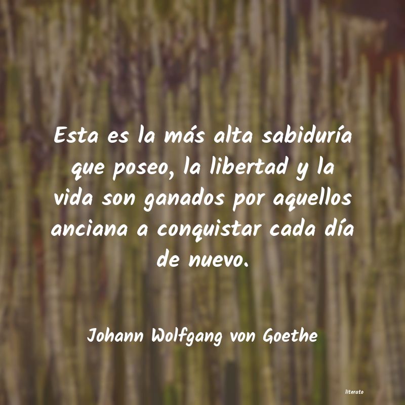 frases de Johann Wolfgang von Goethe