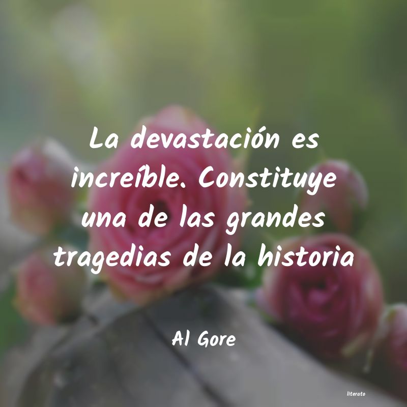 Frases de Al Gore