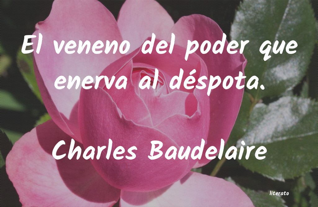 frases de Charles Baudelaire