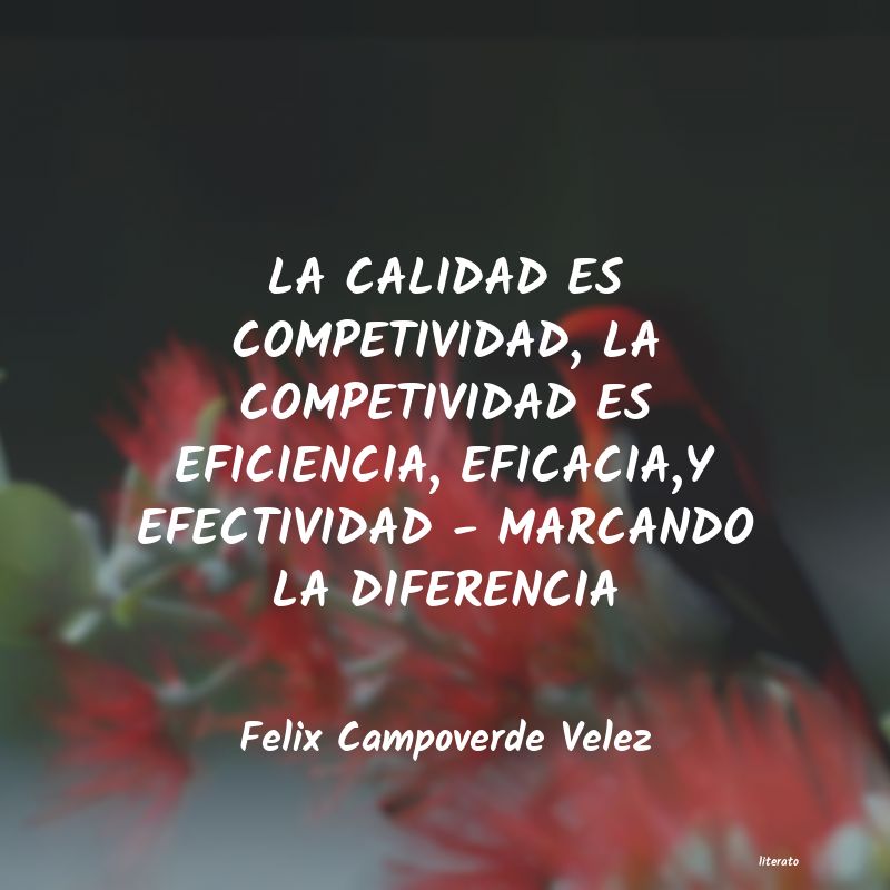 Frases de Felix Campoverde Velez