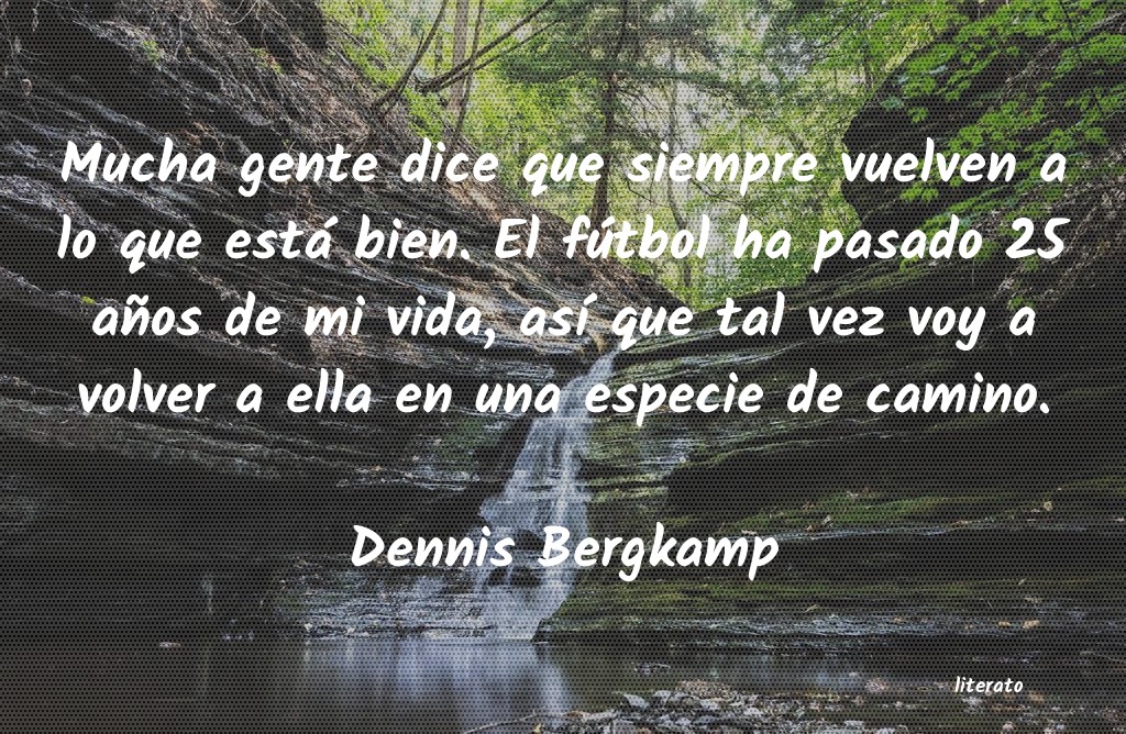 frases de Dennis Bergkamp