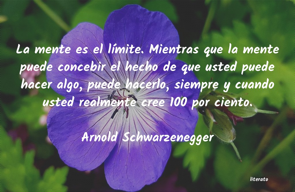 Frases de Arnold Schwarzenegger