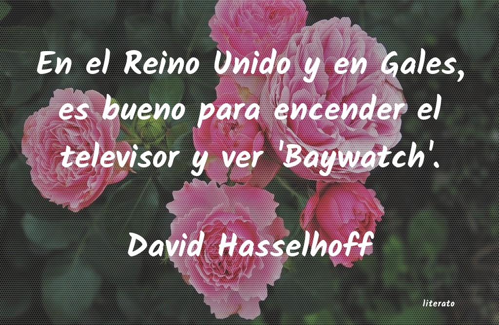 Frases de David Hasselhoff