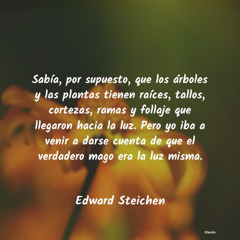 frases de Edward Steichen