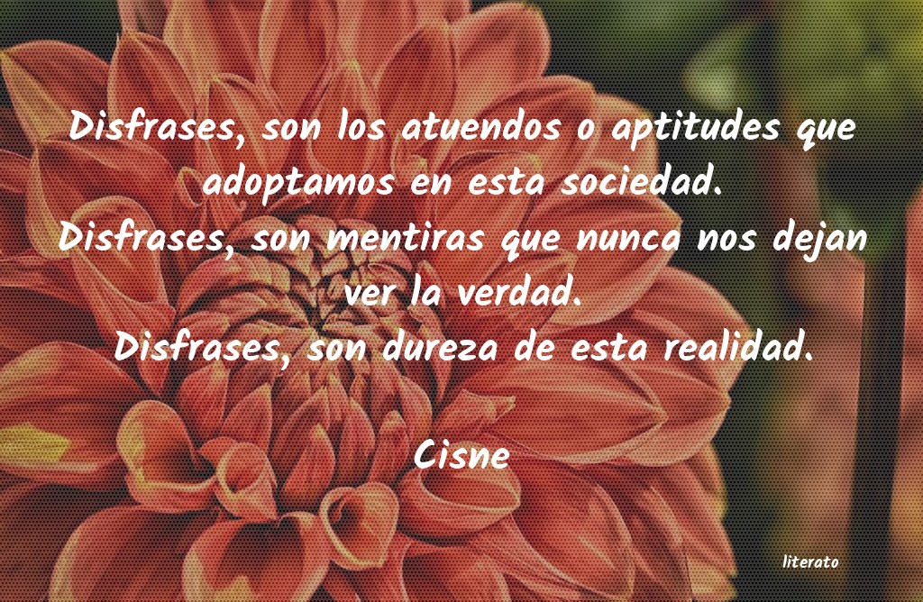 Frases de Cisne