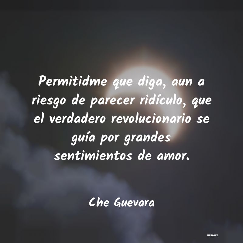 frases cortas de un amor revolucionario