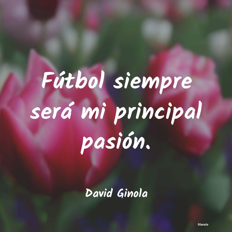 Frases de David Ginola