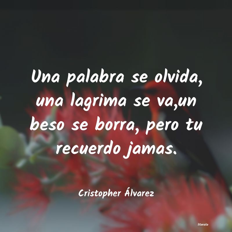 Frases de Cristopher Álvarez